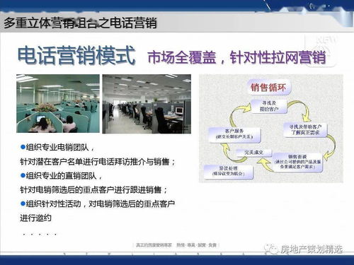 策划 成都蓝光地产观岭国际营销方案报告ppt